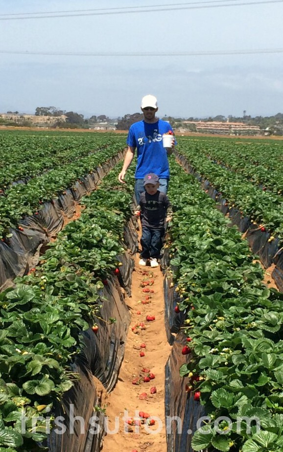 Carlsbad Strawberry Farm; San Diego