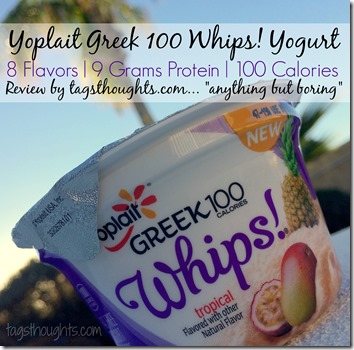 Yoplait Greek 100 Whips! Yogurt Review by trishsutton.com