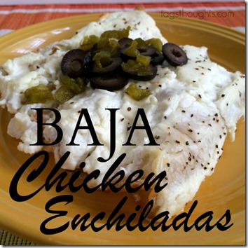 Baja Chicken Enchiladas Recipe by TagsThoughts.com
