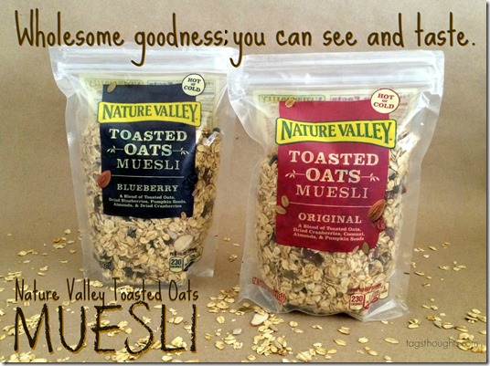 No Bake Muesli Energy Bites made with Nature Valley Toasted Oats by TagsThoughts.com