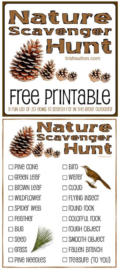 Nature Scavenger Hunt for Kids; Free Printable TrishSutton.com