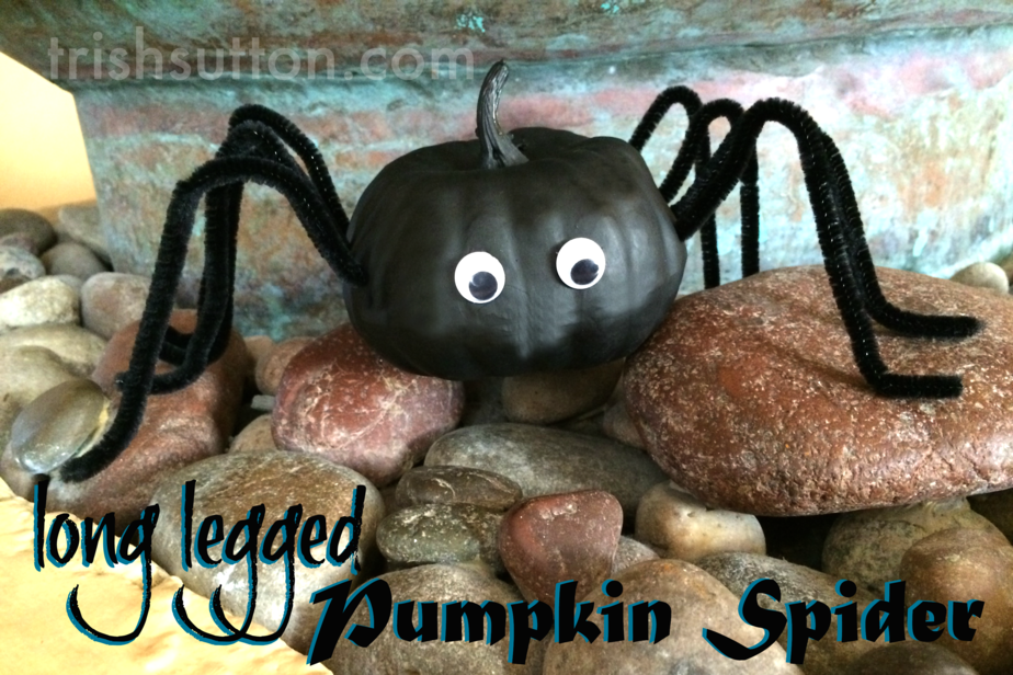 Long Legged Pumpkin Spider | Cute Halloween Decor. A spider that is too cute to fear and it is made from a mini pumpkin! Creepy fun by TrishSutton.com.