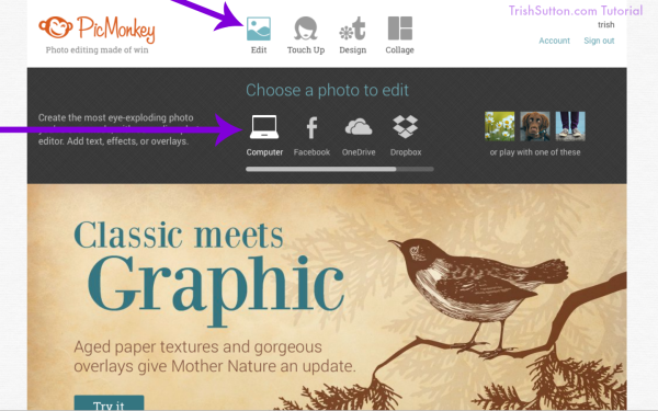 TrishSutton.com Tutorial for GraphicStock #GraphicStockChallenge