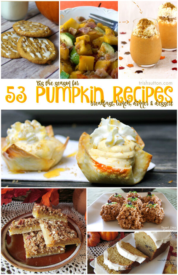 'Tis the Season for Pumpkin; Breakfast, Lunch, Dinner & Dessert Recipe Round-up by TrishSutton.com