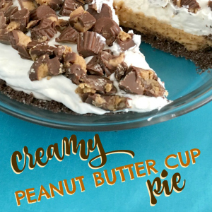 Creamy Peanut Butter Cup Pie Recipe