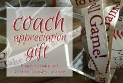 Coach Appreciation Gift Team Autographed Ball | Baseball