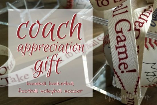 Coach Appreciation Gift Team Autographed Ball | Baseball