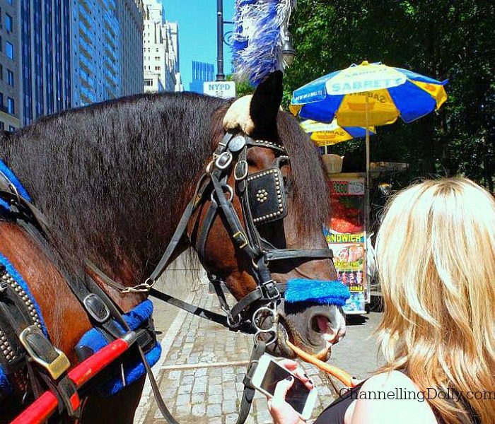 New York City Views; Travel To New York City | Heather Garcia