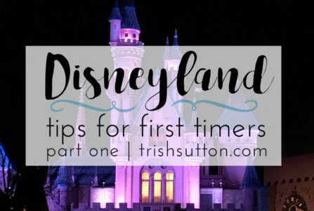 Over a two part series I have twenty Disneyland Tips For First Timers; a must read before your first visit to the happiest place on earth. TrishSutton.com