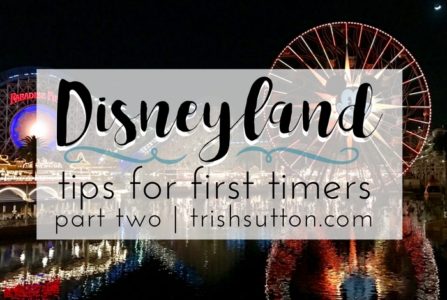 Disneyland Tips For First Timers | Part Two
