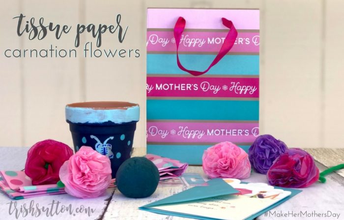 Tissue Paper Carnation Flowers; Make Her Mother's Day, TrishSutton.com