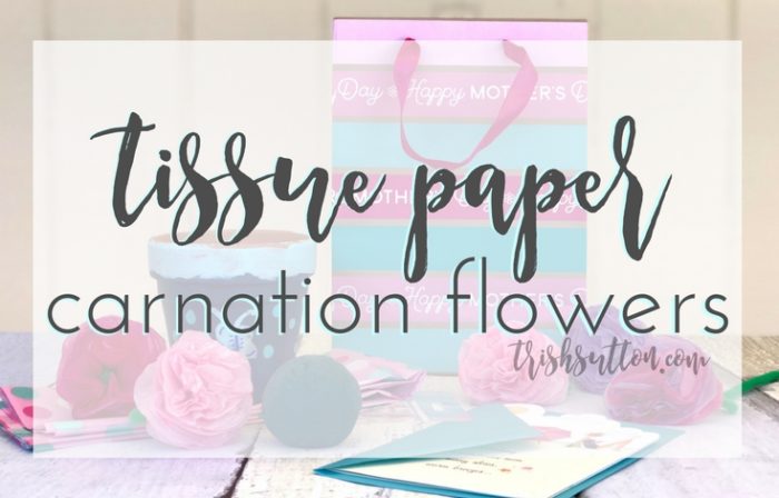 Tissue Paper Carnation Flowers; Make Her Mother's Day, TrishSutton.com