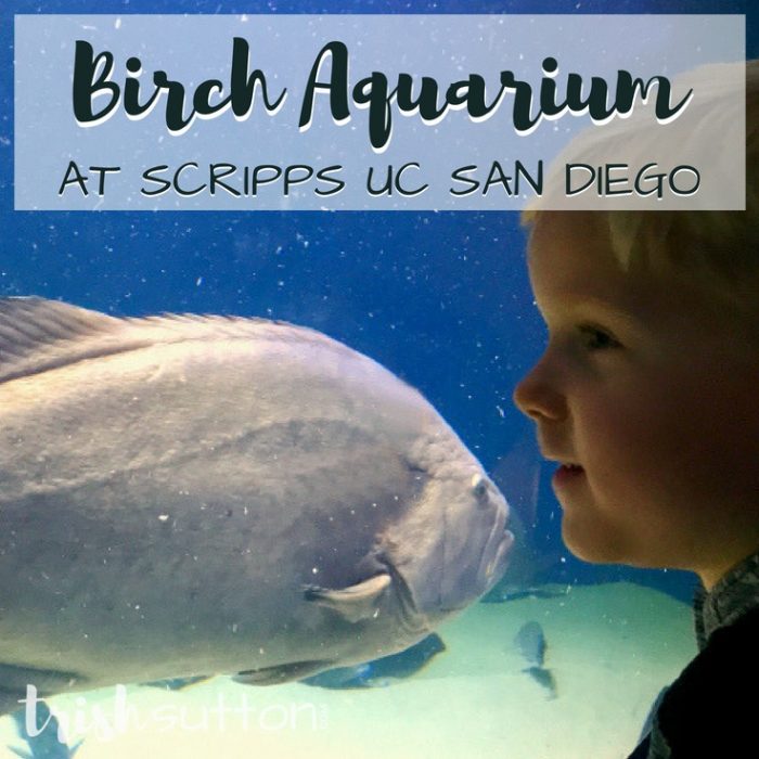 Birch Aquarium at Scripps UC San Diego, TrishSutton.com