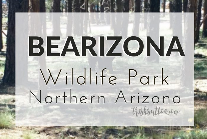 Bearizona Wildlife Park Northern Arizona, TrishSutton.com