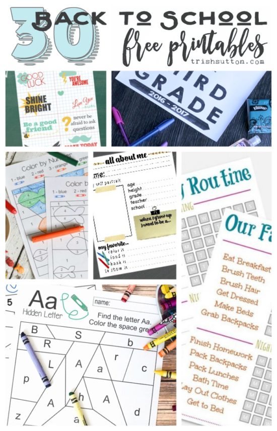 A round-up of 30 Back to School Free Printables including lunchbox notes, elementary aged worksheets and checklists for all grades including college.