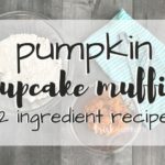 Pumpkin Cupcake Muffins; Simple Two Ingredient Recipe. Is it a cupcake or is it a muffin? There is a cake mix in the recipe but there is no frosting. TrishSutton.com