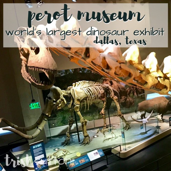Perot Museum of Nature and Science; Dallas, Texas Dinosaur Museum. TrishSutton.com