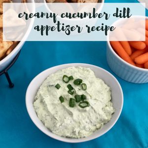 Create a creamy appetizer that can be served as a dip or a spread in just 15 minutes! Easy Creamy Cucumber Dill Appetizer Dip Recipe. TrishSutton.com